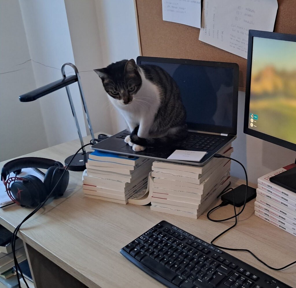 Mi gata Leia curioseando lo que hacemos en el ordenador